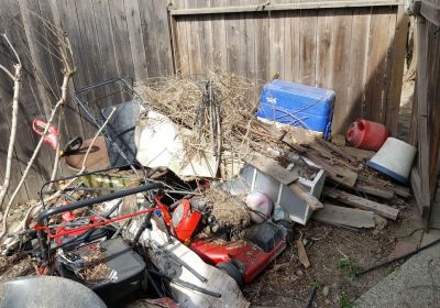 Backyard Cleanup 1