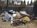 backyard cleanup before