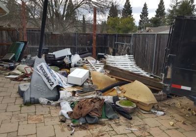 Backyard Cleanup 2