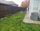 sideyard cleanup after