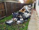 sideyard cleanup before