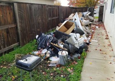 Sideyard Cleanup